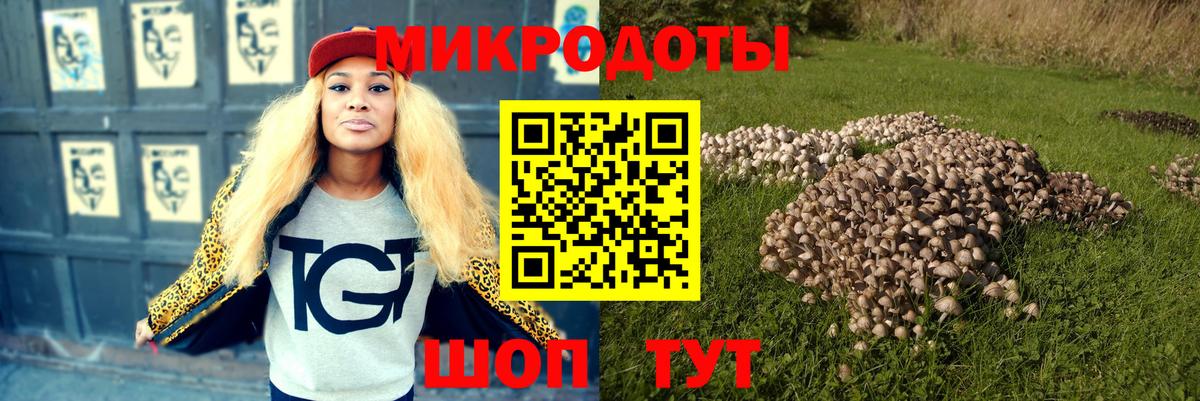 Псилоцибиновые грибы Magic Shrooms  Вход с VPN  сколько стоит  Хасавюрт 