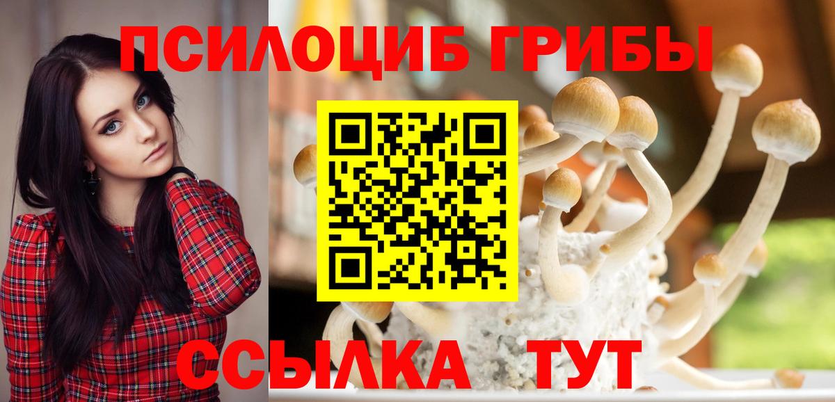 Псилоцибиновые грибы мицелий Хасавюрт